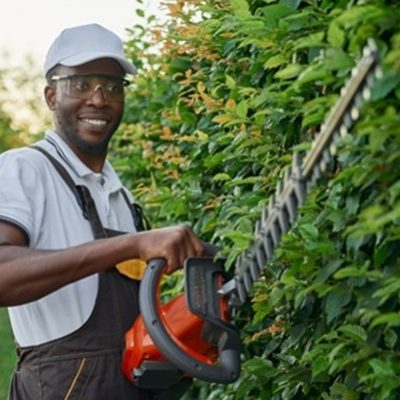 smiling afro gardener using hedge trimmer for cutting bushes